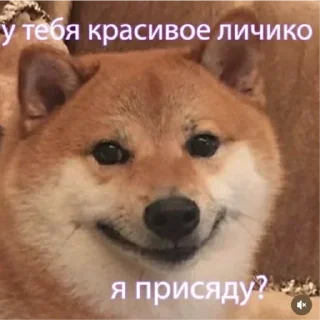 Sticker Котики2 - 4