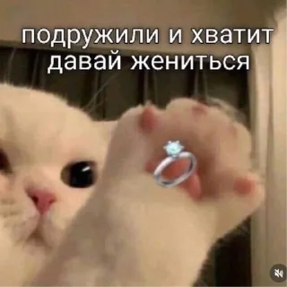 Sticker Котики2 - 3