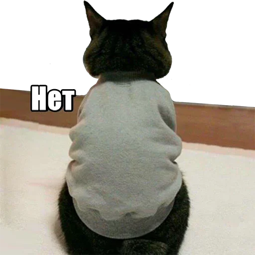 Стикер Kotiki9 - 1