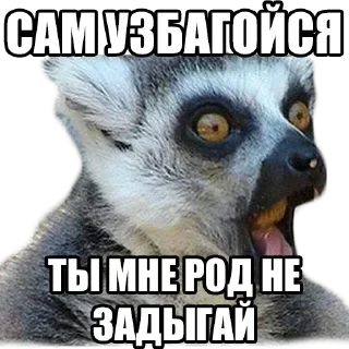 Стикер Коты - 5