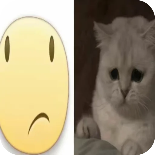 пупаньки @g0rchicamayonez - 