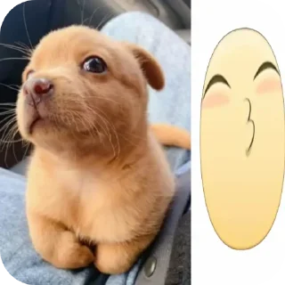 Стикер пупаньки @g0rchicamayonez - 4