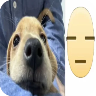 Стикер пупаньки @g0rchicamayonez - 6