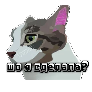 Sticker Котики с мемами - 2