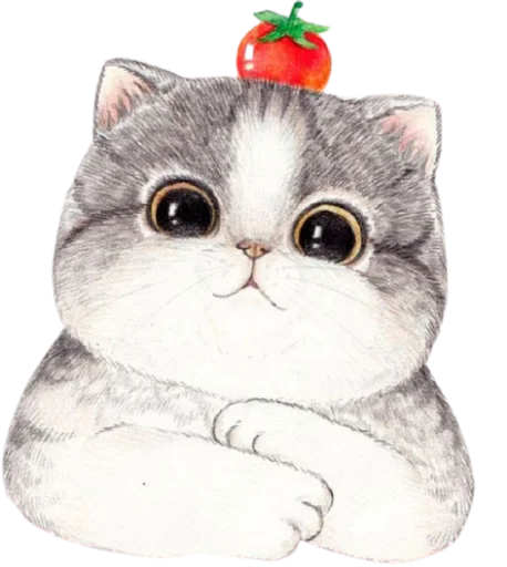 animal small to medium-sized cats felidae