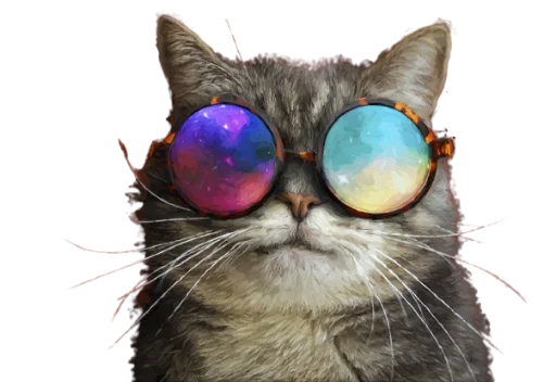 domestic cat small to medium-sized cats cat