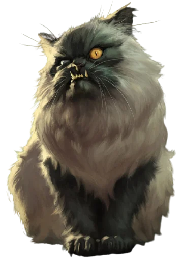 animal domestic cat cat