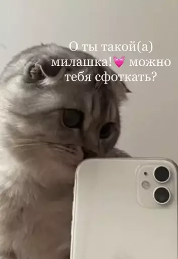 Стикер Kotiki_miii - 1