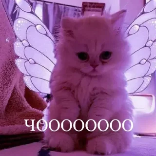 Стикер Ты - 9