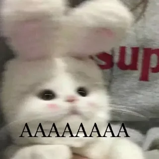 Стикер Ты - 0