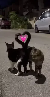 Стикер Ты - 2