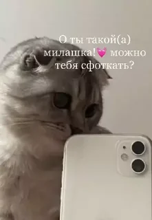 Стикер Ты - 10