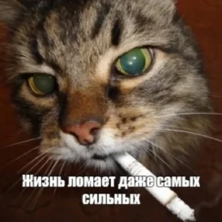 Sticker Угар - 8