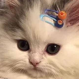 Sticker Угар - 6