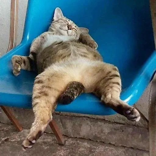 Sticker Kotiki_narkot1k1 - 1