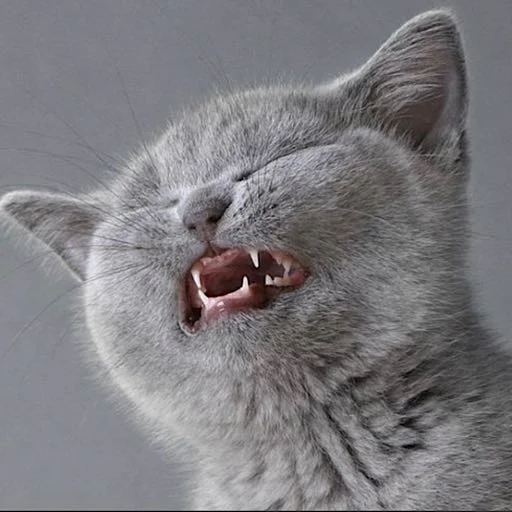 Sticker Kotiki_narkot1k1 - 1