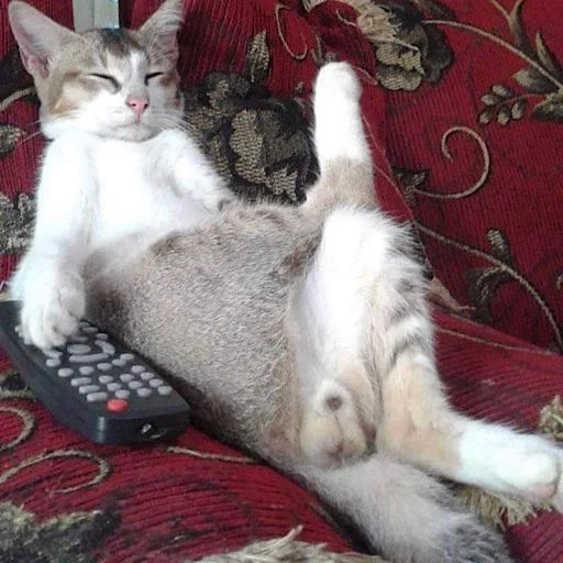 Sticker Kotiki_narkot1k1 - 1