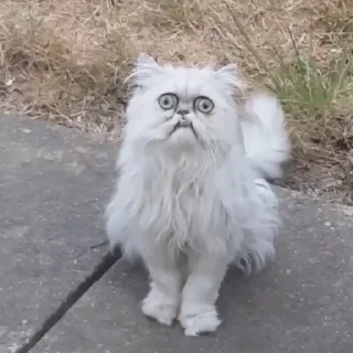 Sticker Угар - 10