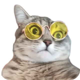 Sticker Котики обормотики - 5