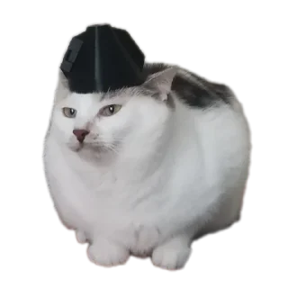 Sticker Котики обормотики - 7