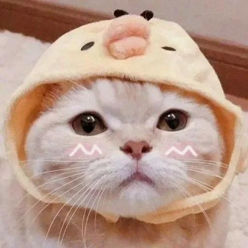 Sticker Котики by @anime_stickerr - 5