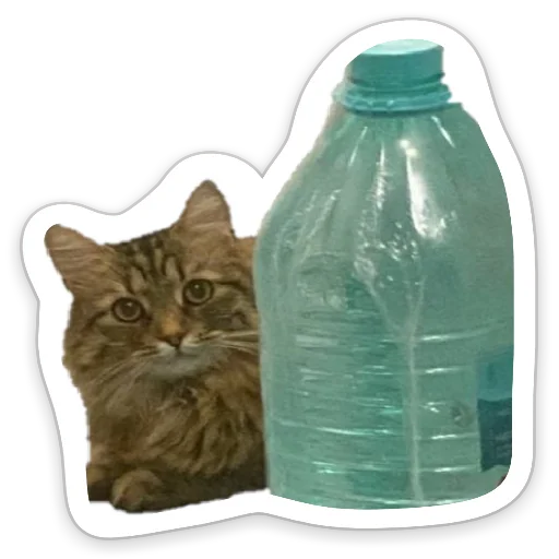 Пандорочная - 