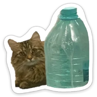 Стикер Пандорочная - 3