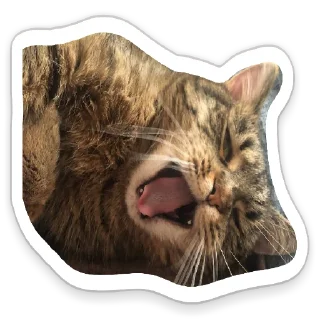 Стикер Пандорочная - 6