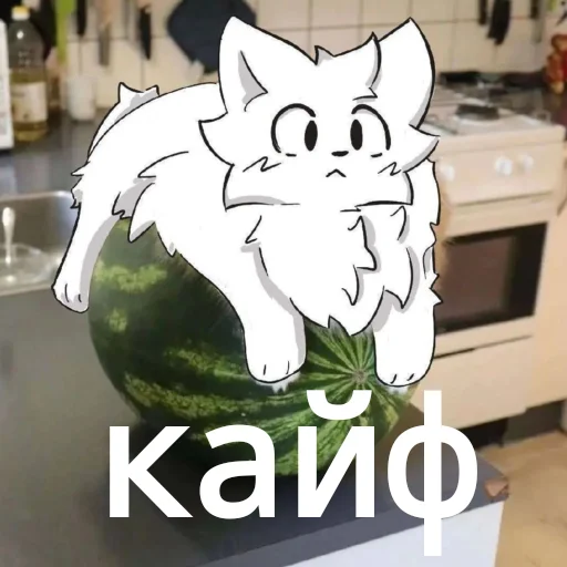 Sticker Kotin_pyk - 1
