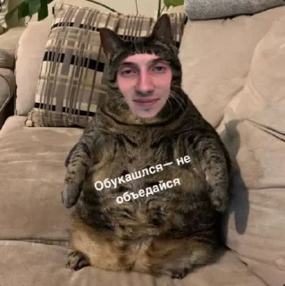 Стикер КотоДрюс - 0