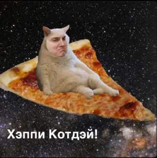 Стикер КотоДрюс - 2