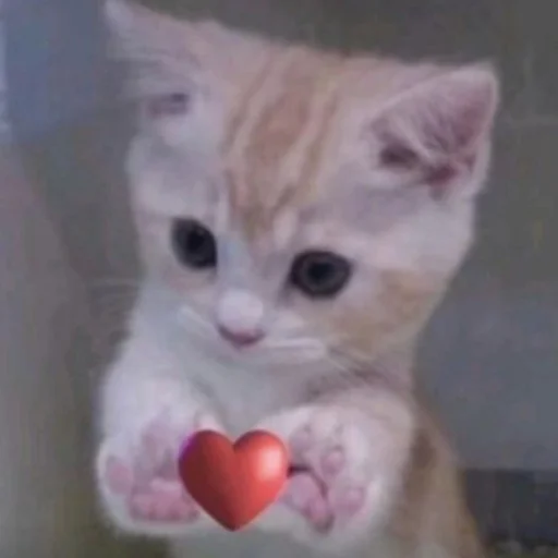 Sticker Kotobdolbishi - 1