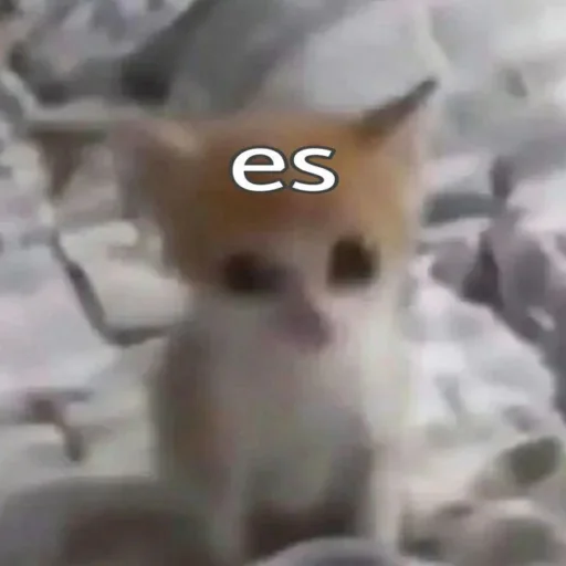 Sticker Kotobdolbishi - 1