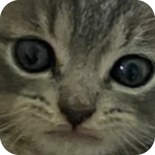 Sticker Kotoebarchi - 1