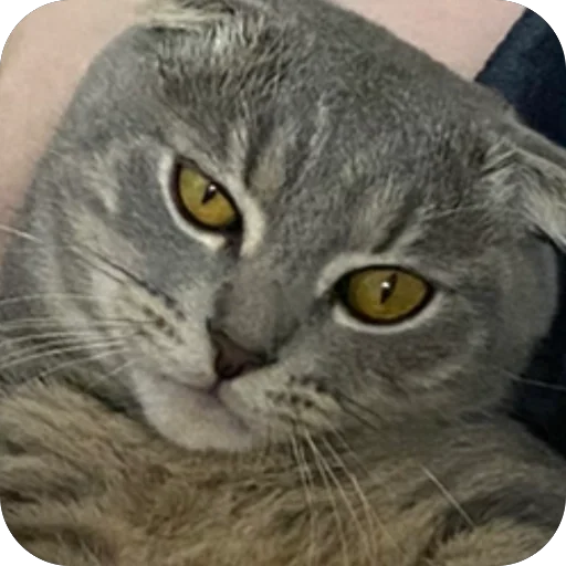 Sticker Kotoebarchi - 1