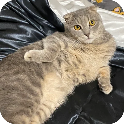 Sticker Kotoebarchi - 1