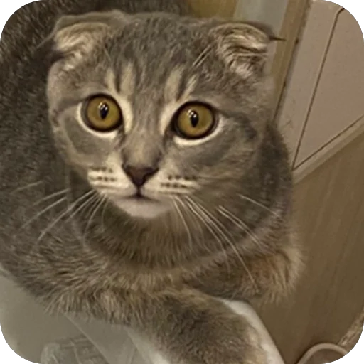 Sticker Kotoebarchi - 1