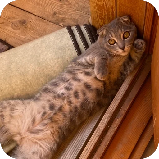 Sticker Kotoebarchi - 1