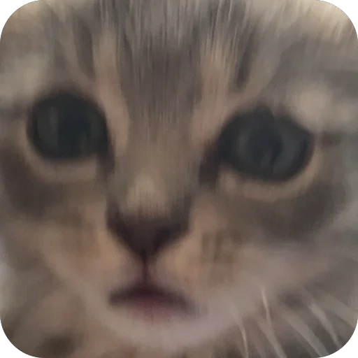 Sticker Kotoebarchi - 1