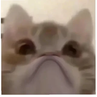 Стикер Котогенмемсы - 9