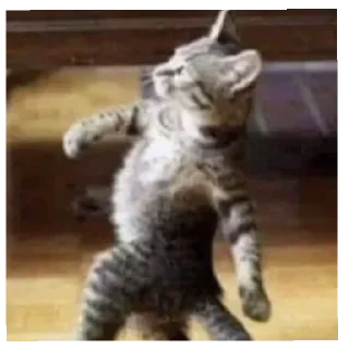 Стикер Котогенмемсы - 10