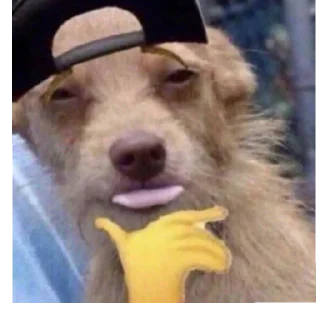 Стикер Котогенмемсы - 1