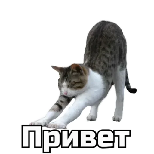 🔞СТИКЕРЫ ТУТ: @Anonim_sx_bot - 