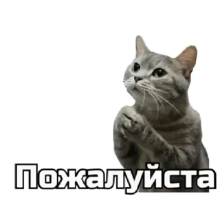 Стикер 🔞СТИКЕРЫ ТУТ: @Anonim_sx_bot - 10