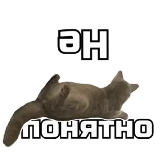 Стикер 🔞СТИКЕРЫ ТУТ: @Anonim_sx_bot - 4