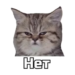 Стикер 🔞СТИКЕРЫ ТУТ: @Anonim_sx_bot - 0