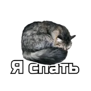 Стикер 🔞СТИКЕРЫ ТУТ: @Anonim_sx_bot - 8