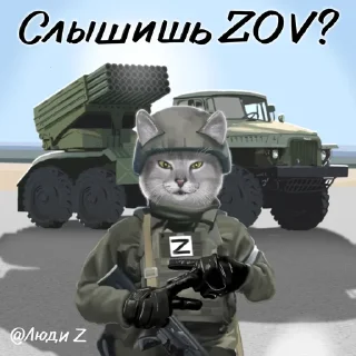 Стикер Kotostikery_Z - 8