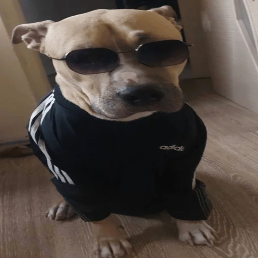 Стикер Kotsosun228 - 1