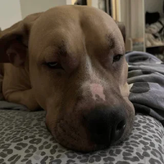 Стикер Котовской - 3